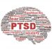 PTSDの動画活用